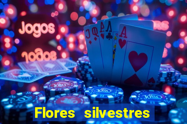 Flores silvestres brasileiras 25